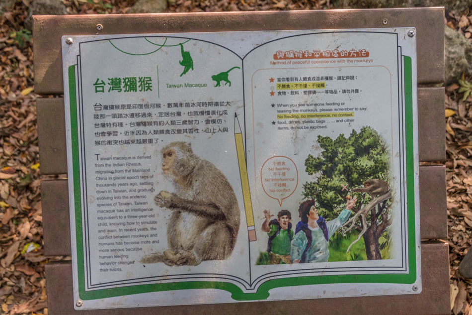 柴山自然公園