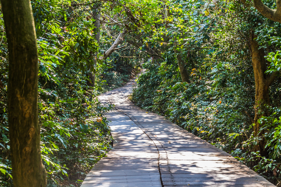 柴山自然公園