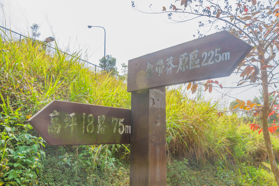 熱帶植物園