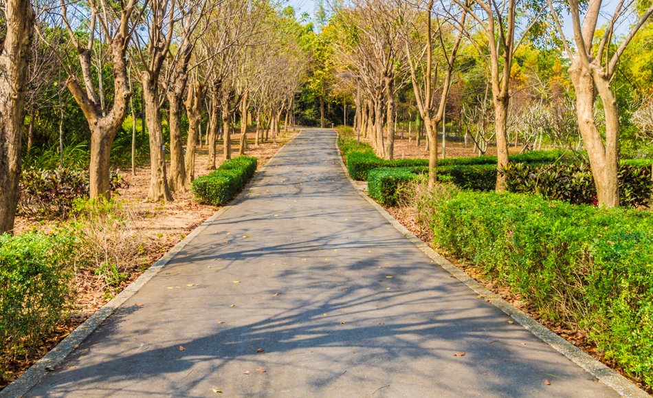 熱帶植物園