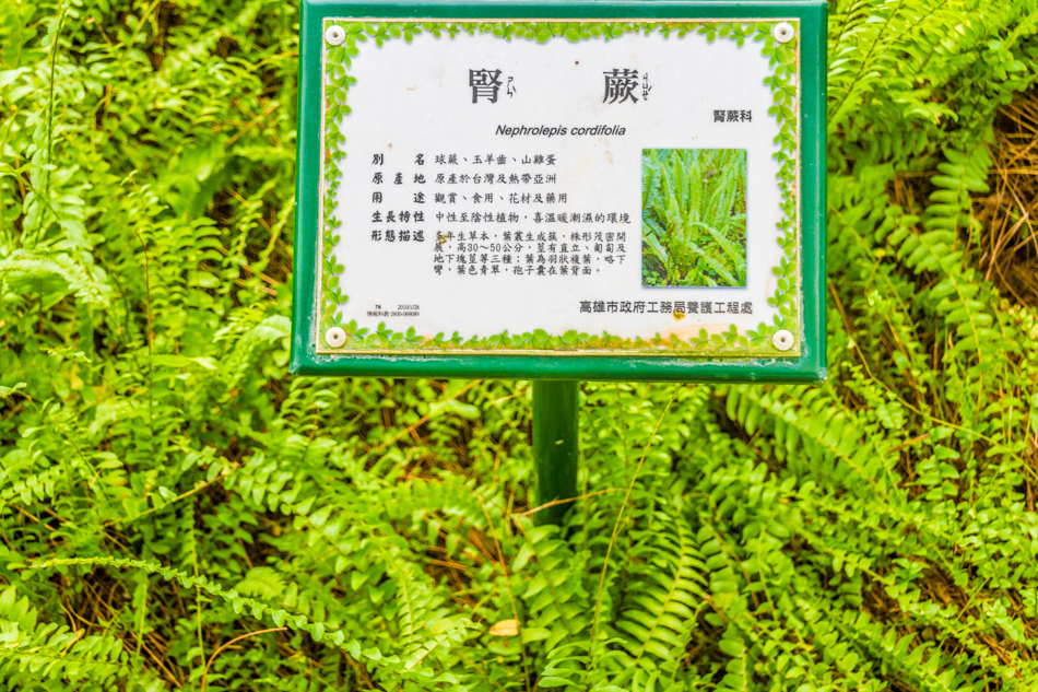 熱帶植物園