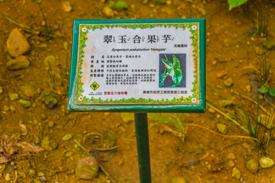 熱帶植物園