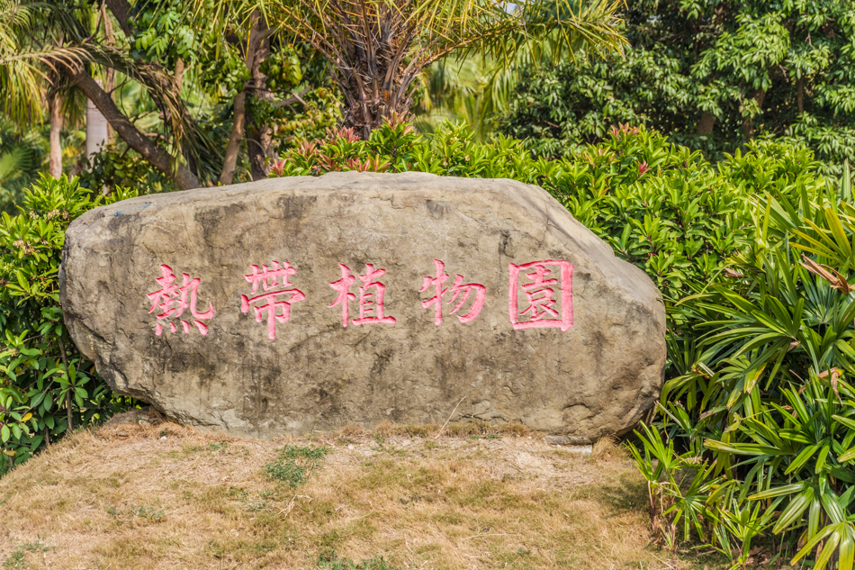 熱帶植物園