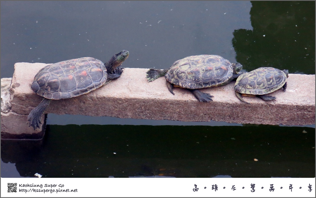 【高雄活動】蓮池潭 看完半澤直樹 快稱最後三天來 萬年季 @ 高雄 Super Go 蔬潑菓 :: 痞客邦 PIXNET ::