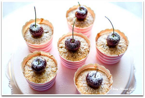 DSC_1702-1 DSC_1702-1