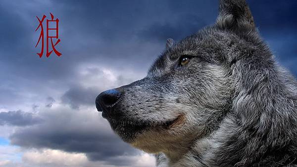 狼07