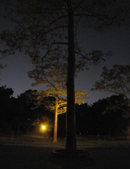 靜夜.jpg 靜夜.jpg
