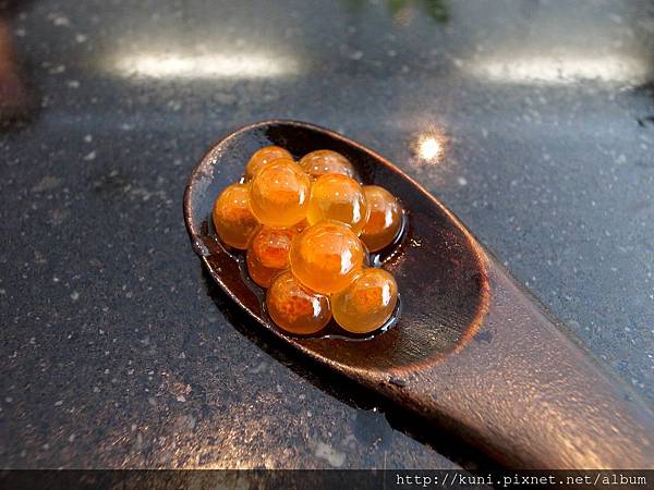 GRD3 13092014 魚道生商午 (14).JPG