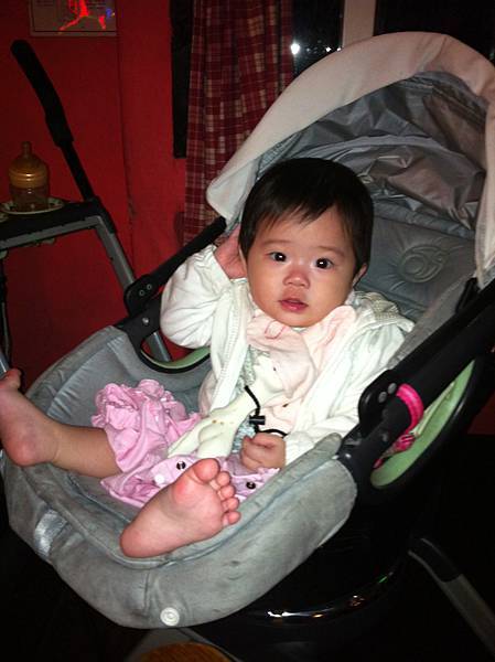 IMG_1155 IMG_1155