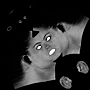 specular specular