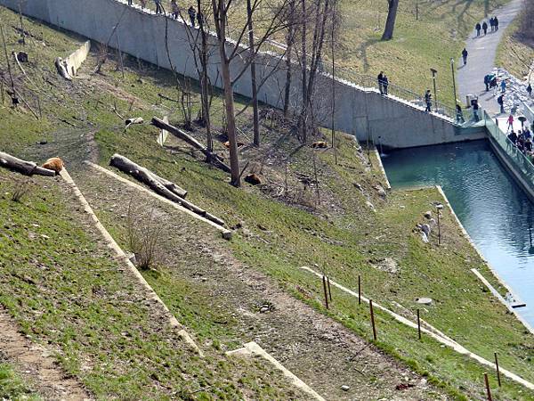 CIMG1383.JPG CIMG1383.JPG