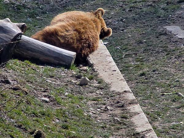 CIMG1384.JPG CIMG1384.JPG