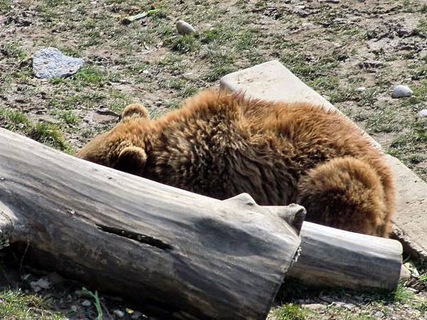 CIMG1389.JPG CIMG1389.JPG