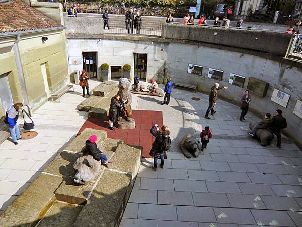 CIMG1392.JPG CIMG1392.JPG