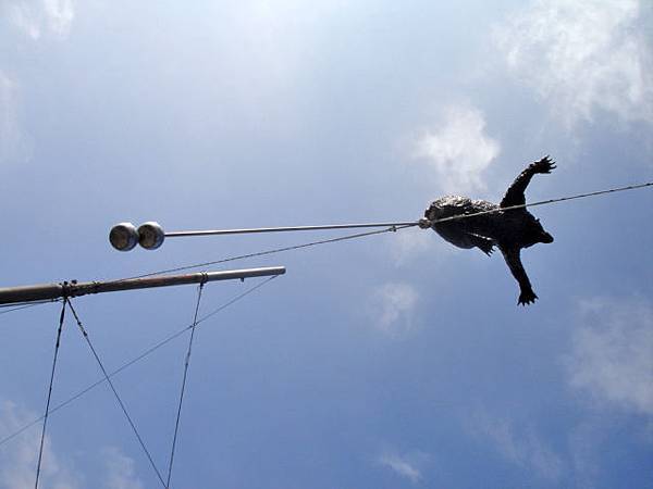 DSC00581.JPG DSC00581.JPG