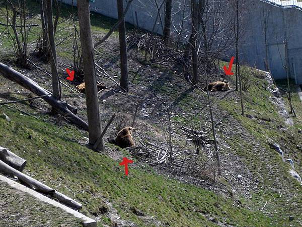 DSC00585.JPG DSC00585.JPG