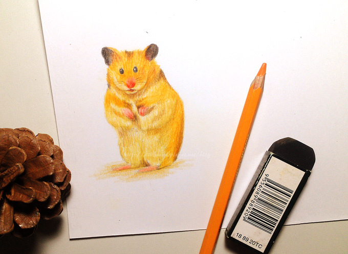 drawing1017 drawing1017