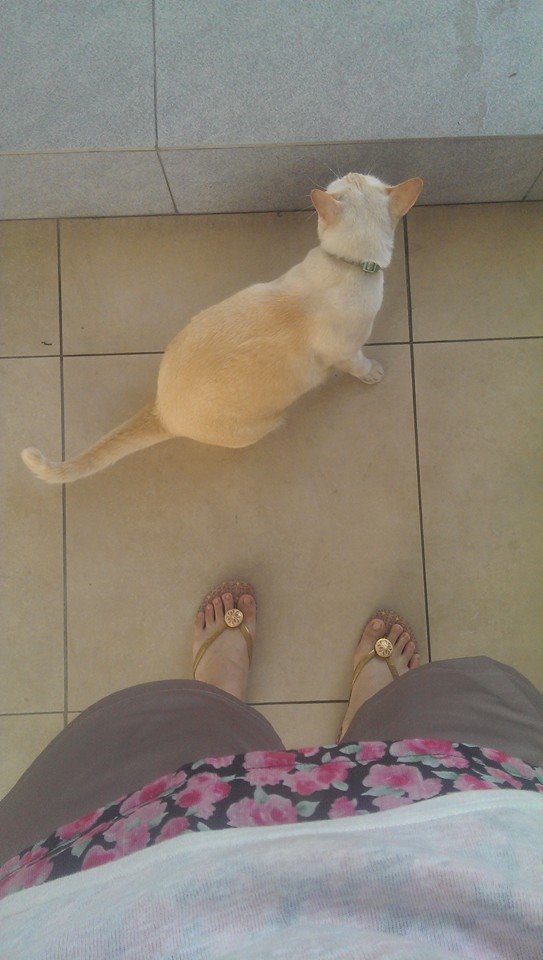 998803_10202713592344164_160400522_n