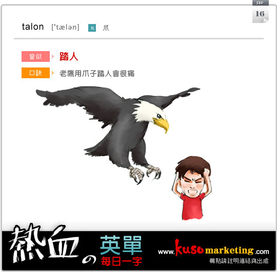 每日一字 talon