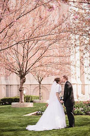 櫻花樹下婚紗攝影