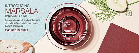 PANTONE 2015 年度代表色 瑪薩拉酒紅 Marsala