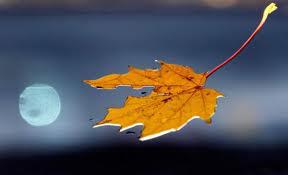 197686_398347813534945_1581790717_n