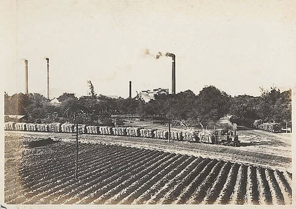 Light_railway_of_sugar_industry_in_Takao Light_railway_of_sugar_industry_in_Takao
