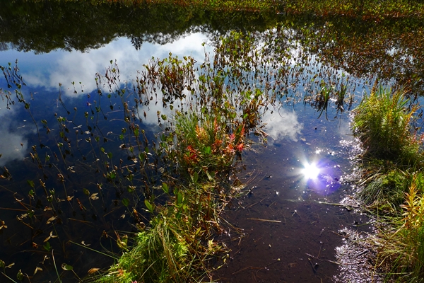 L1300423.JPG L1300423.JPG