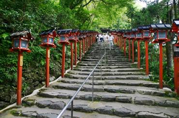 473-kihune.jpg 473-kihune.jpg