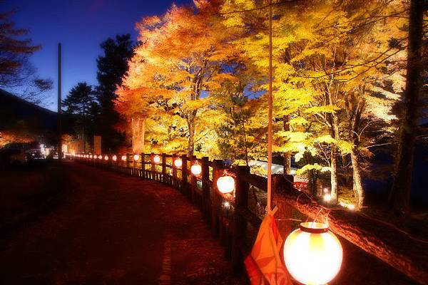 山中湖、河口湖紅葉祭