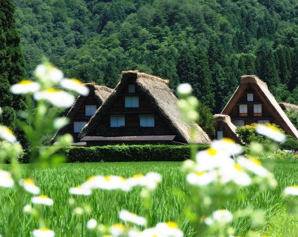 2-28-gassho-summer.jpg 2-28-gassho-summer.jpg
