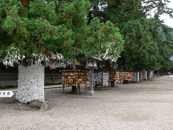 おみくじと絵馬 Omikuji and Ema.JPG おみくじと絵馬 Omikuji and Ema.JPG