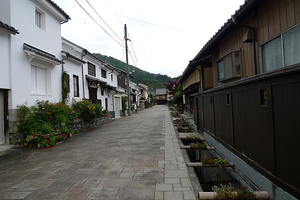 L1150528.JPG L1150528.JPG