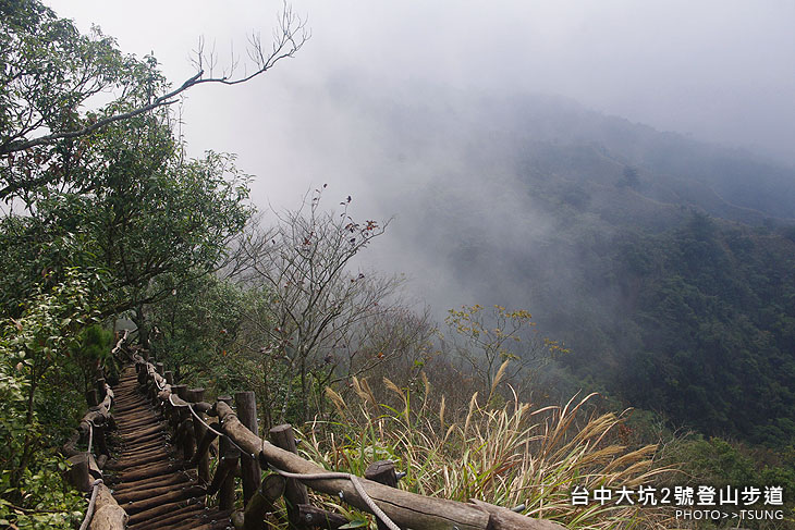 台中大坑2號登山步道 台中大坑2號登山步道