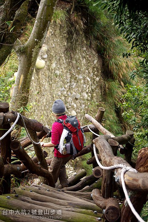 台中大坑2號登山步道 台中大坑2號登山步道