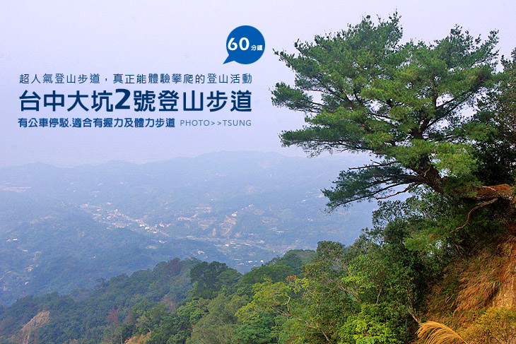 大坑2號登山步道 大坑2號登山步道