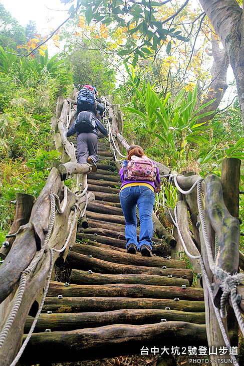 大坑2號登山步道 大坑2號登山步道