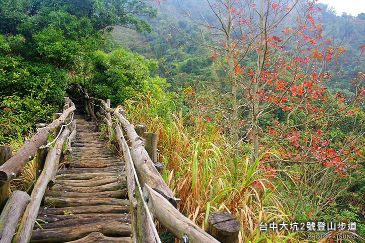 大坑2號登山步道 大坑2號登山步道