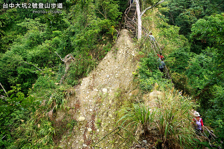 大坑2號登山步道 大坑2號登山步道