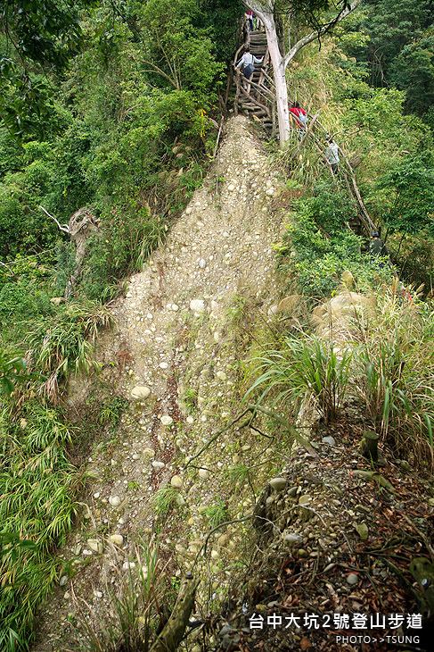 大坑2號登山步道 大坑2號登山步道