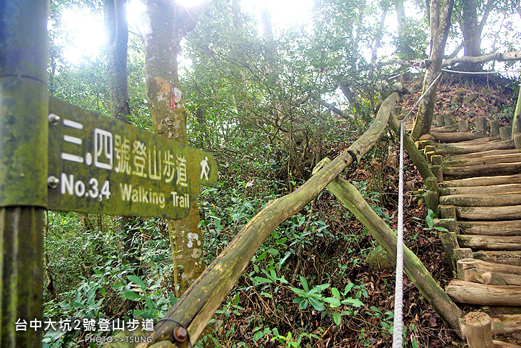 大坑2號登山步道 大坑2號登山步道