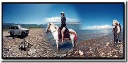 青海湖車與馬的相會