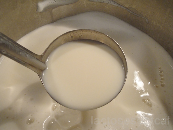 DSC04085-1.JPG DSC04085-1.JPG