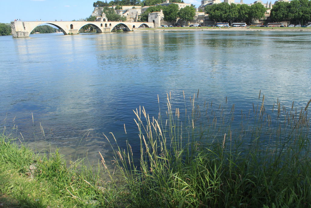 IMG_4227 IMG_4227