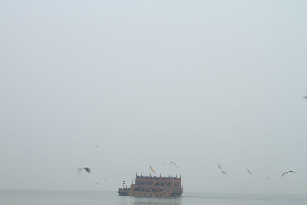 IMG_8988 IMG_8988