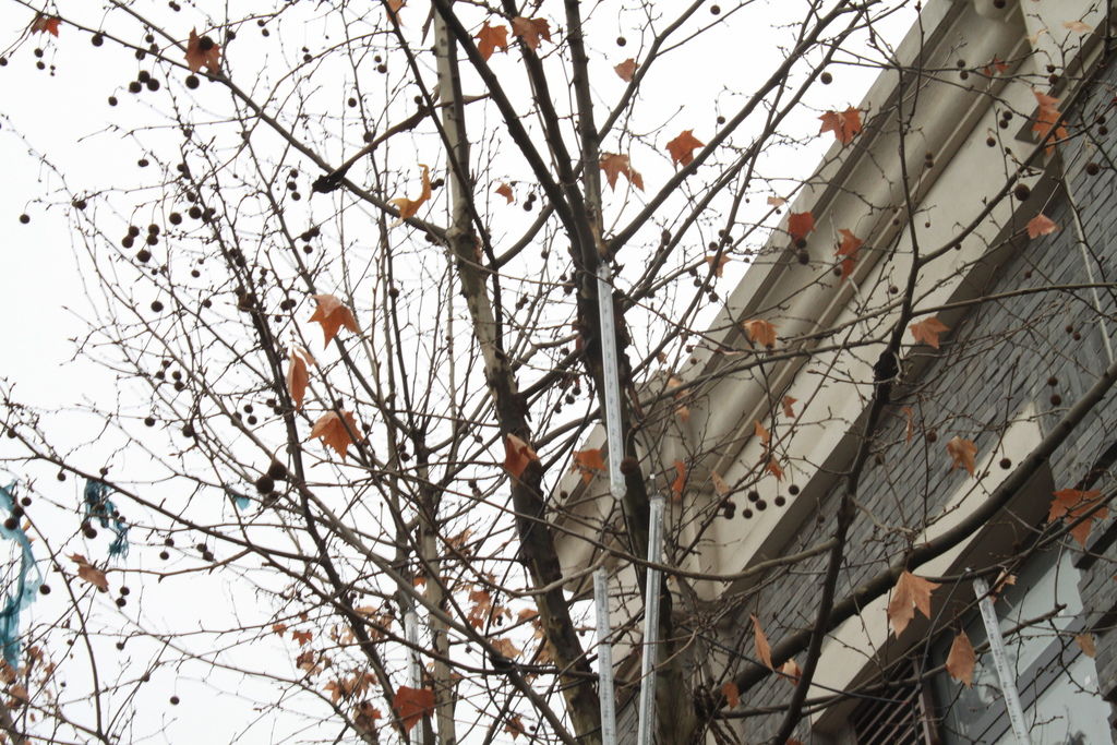 IMG_9035 IMG_9035