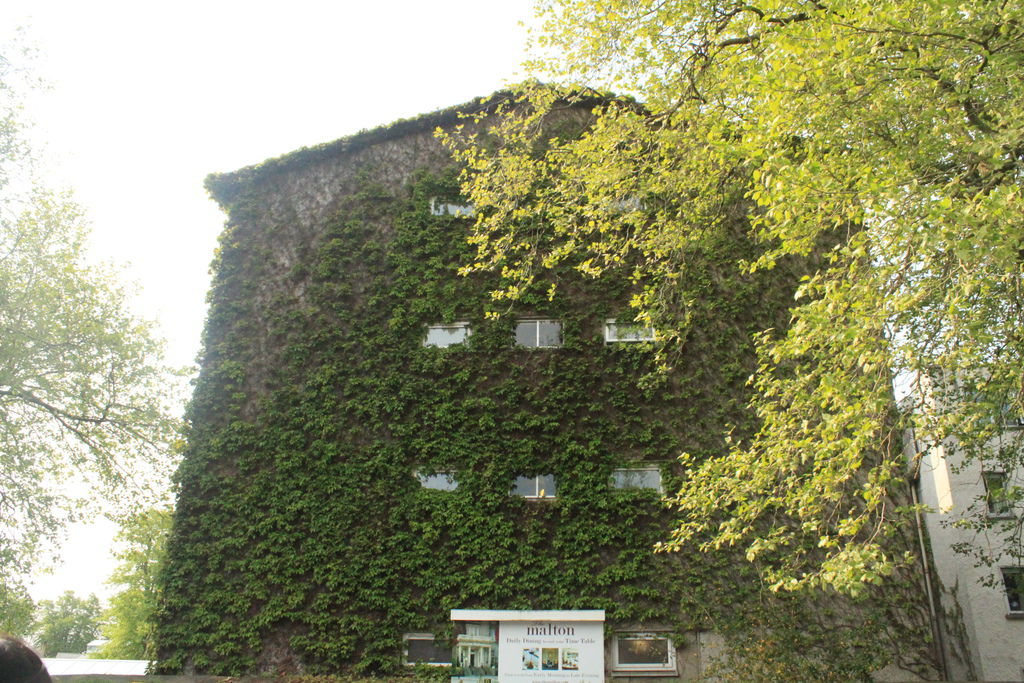 IMG_3011 IMG_3011