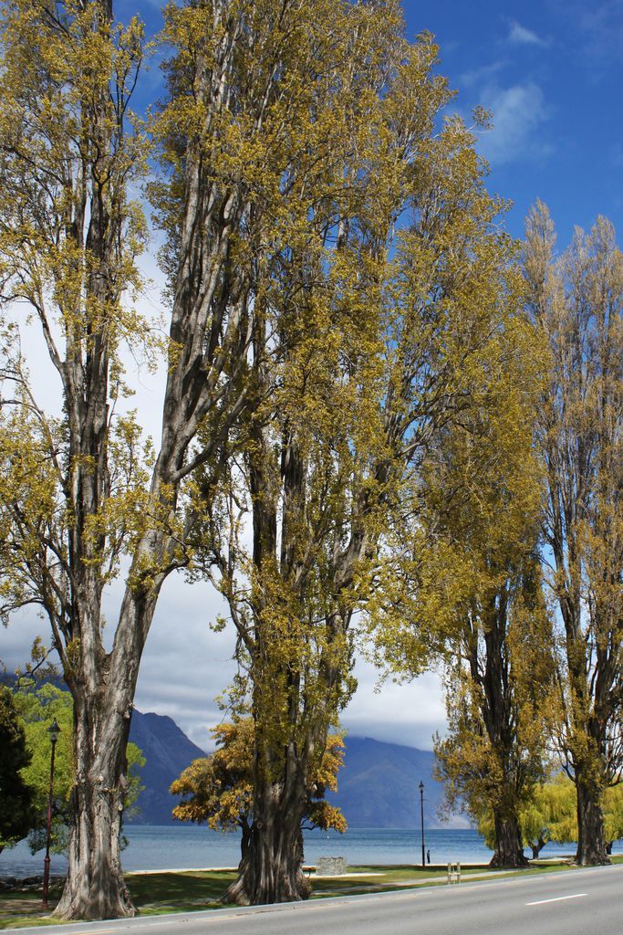 IMG_9806 IMG_9806