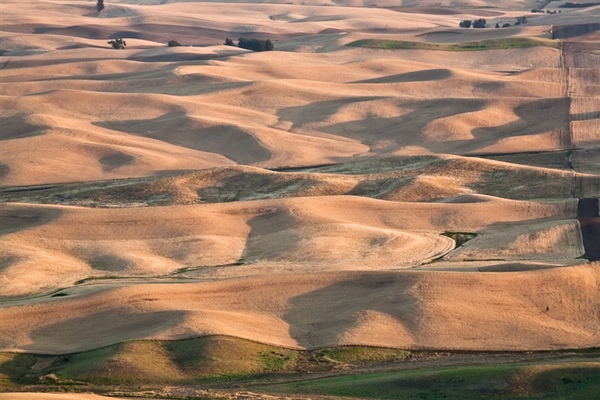 Palouse-032_resized.jpg