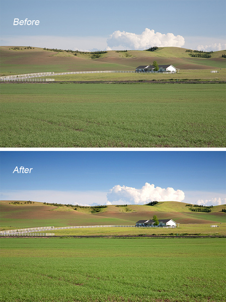 wheatfarm-before-after.jpg